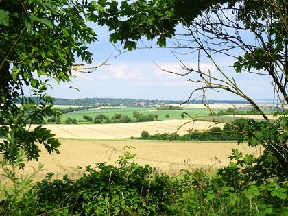 Ausblick in Natur