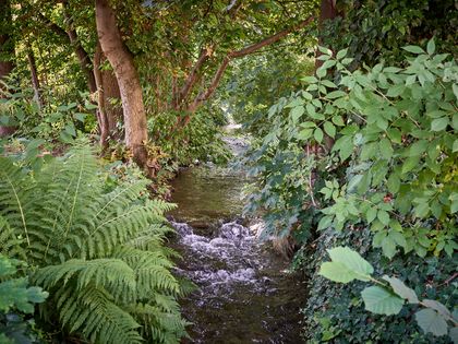 Fluss durch den Harly